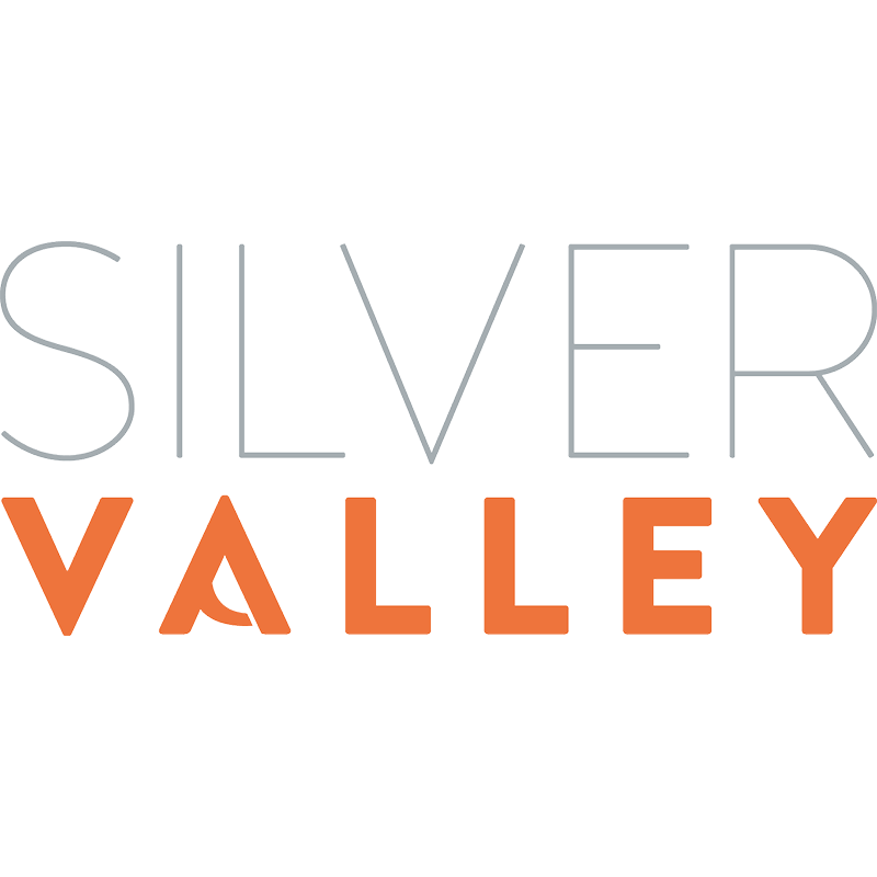Logo silver valley