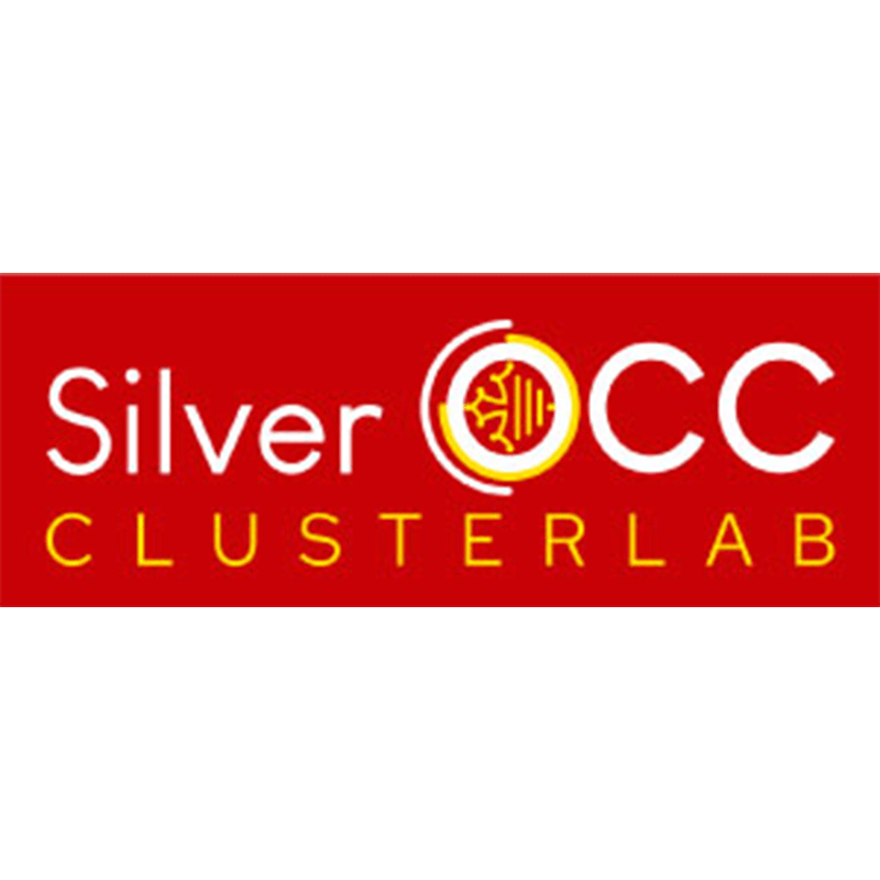 Logo Silver OCC